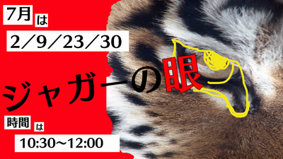 ジャガーの眼.png